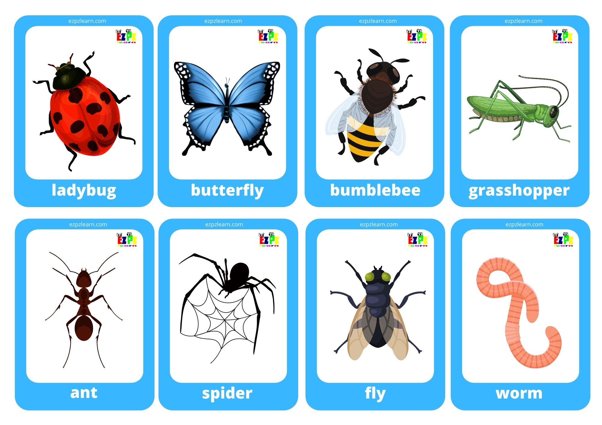 Insects Bugs Ezpzlearn